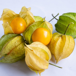 goose-fruit