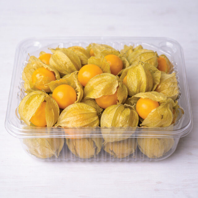 Gooseberry Fresh Fruits With Husks